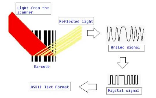 Barcode identification system